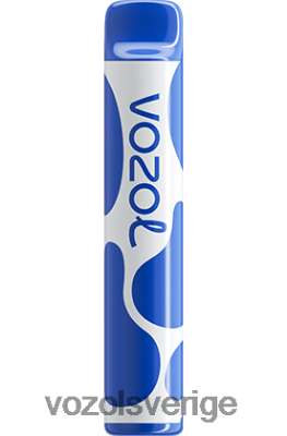 VOZOL JOYGO 600 blåbärsstorm DX642390 - VOZOL Vape