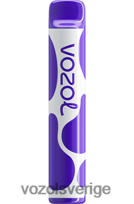 VOZOL JOYGO 600 blandade bär DX642388 - VOZOL Vape Sale