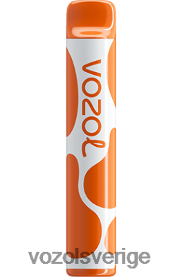 VOZOL JOYGO 600 älskar 777 DX642384 - VOZOL Smaker