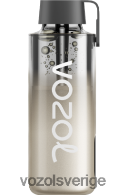 VOZOL NEON 10 000 björnbärsstorm DX642230 - VOZOL Vape