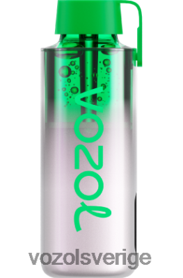 VOZOL NEON 10 000 druvis DX642234 - VOZOL Smaker