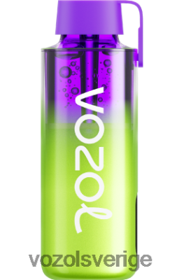 VOZOL NEON 10 000 hallon vattenmelon DX642237 - VOZOL Vape Shop