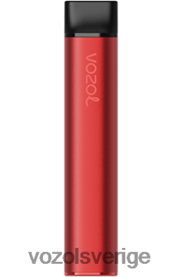 VOZOL SWITCH 600 tranbärsis DX642224 - VOZOL Smaker