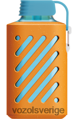 VOZOL GEAR 10 000 hallon mandarin DX642305 - VOZOL Vape Smaker