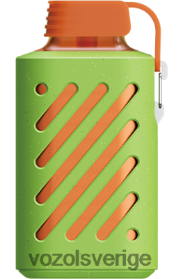 VOZOL GEAR 10 000 jordgubbskiwi DX642310 - VOZOL Vape