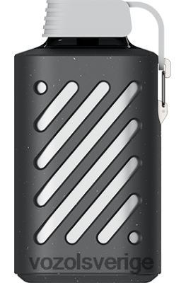 VOZOL GEAR 10 000 jordgubbssmoothie DX642311 - VOZOL Sverige