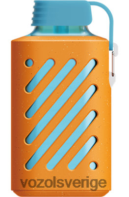 VOZOL GEAR 10 000 mandarin mango guava DX642312 - VOZOL Stockholm