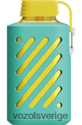 miami mynta