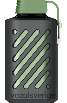 VOZOL GEAR 10 000 sur äppelis DX642308 - VOZOL Vape Sale