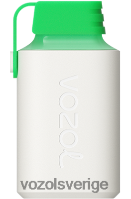 VOZOL GEAR 600 citron mojito DX642352 - VOZOL Stockholm