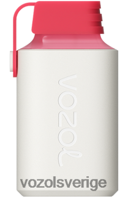 VOZOL GEAR 600 jordgubbar hallon körsbär DX642358 - VOZOL Vape Sale