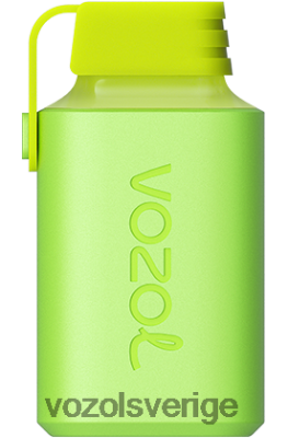 VOZOL GEAR 600 äpple persika DX642345 - VOZOL Vape Smaker