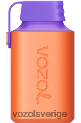 VOZOL GEAR 600 tranbärsdruvor is DX642348 - VOZOL Vape Sale