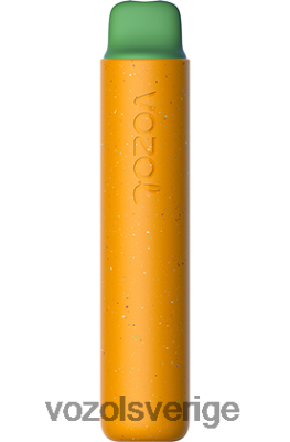 VOZOL STAR 2000 djungelfågel DX642156 - VOZOL Vape Store