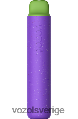 VOZOL STAR 2000 druvis DX642154 - VOZOL Smaker