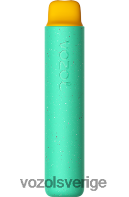 VOZOL STAR 2000 gummibjörn DX642155 - VOZOL Vape Smaker