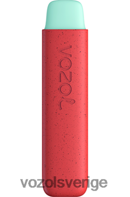 VOZOL STAR 550 äpple persika DX642138 - VOZOL Vape Sale