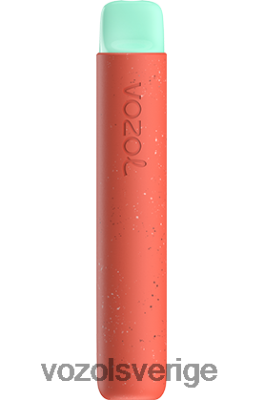 VOZOL STAR 600 Litchi guava vattenmelon DX64288 - VOZOL Vape Sale