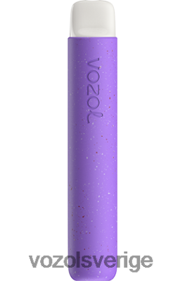 VOZOL STAR 600 bär mojito DX64273 - VOZOL Vape Sverige