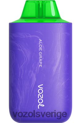 VOZOL STAR 6000/8000 v2 aloe druva DX64254 - VOZOL Smaker