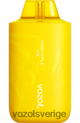 VOZOL STAR 6000/8000 v2 ananas is DX64264 - VOZOL Smaker