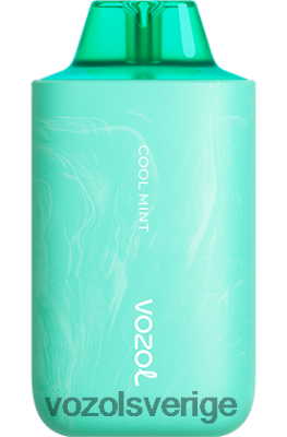 VOZOL STAR 6000/8000 v2 cool mynta DX64257 - VOZOL Vape Shop