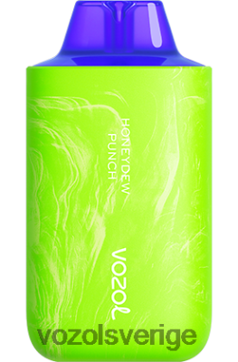 VOZOL STAR 6000/8000 v2 honungsslag DX64251 - VOZOL Sverige