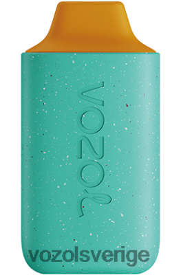VOZOL STAR 6000 cederträ pomelo DX642102 - VOZOL Stockholm