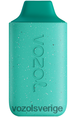 VOZOL STAR 6000 cool mynta DX642110 - VOZOL Vape