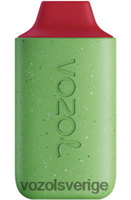 VOZOL STAR 6000 hallon vattenmelon DX642127 - VOZOL Vape Shop