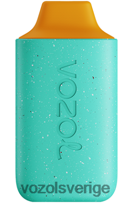 VOZOL STAR 6000 honungsslag DX642114 - VOZOL Smaker