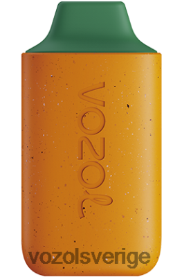 VOZOL STAR 6000 mango persika vattenmelon DX642120 - VOZOL Vape
