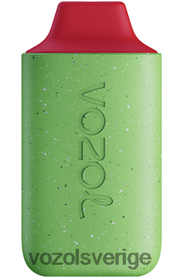 VOZOL STAR 6000 skogsbärsstorm DX642113 - VOZOL Vape Sverige