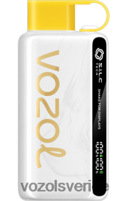 VOZOL STAR 9000/12000 ananas kokos is DX64246 - VOZOL Vape Store