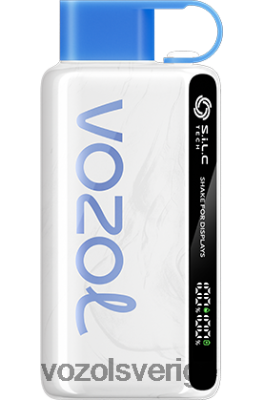 VOZOL STAR 9000/12000 blåbärsstorm DX64222 - VOZOL Stockholm
