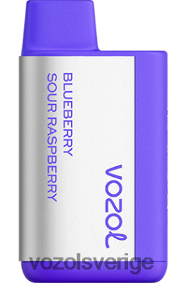 VOZOL TIGO 600 blåbärssura hallon DX642365 - VOZOL Vape Smaker