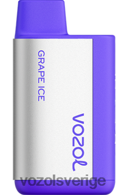 VOZOL TIGO 600 druvis DX642367 - VOZOL Vape Shop