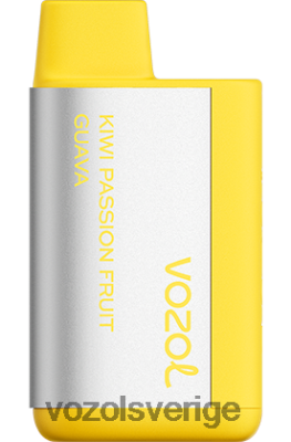 VOZOL TIGO 600 kiwi passionsfrukt guava DX642368 - VOZOL Vape Sale