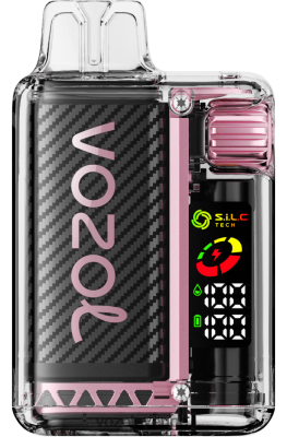 VOZOL VISTA 16000/20000 persika mango vattenmelon DX64212 - VOZOL Stockholm
